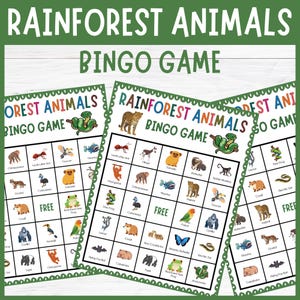 Könnte beinhalten: Drei Rainforest Animals Bingo Spielkarten mit einem grünen Zierrand. Jede Karte zeigt ein Raster mit farbenfrohen Illustrationen von Regenwaldtieren. Der Spieltitel befindet sich oben auf jeder Karte. Das Wort "FREE" ist auf jeder Karte sichtbar.