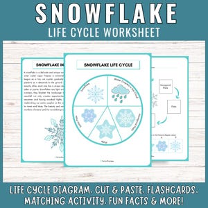 Snöflingans livscykel: Arbetsblad för vintervetenskapscenter, studieaktiviteter och roliga fakta