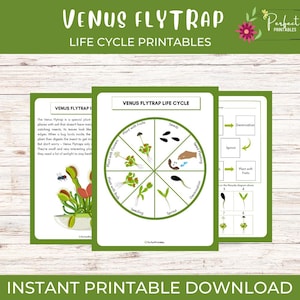 May include: Printable educational materials featuring the Venus Flytrap life cycle. The design includes a diagram of the plant's life cycle stages, from seeds to flowering, and a description of the plant.