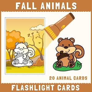May include: A set of 20 animal flashcards featuring a brown flashlight illuminating a black and white squirrel holding an acorn in a fall forest scene. The colored version of the squirrel is shown separately on a green patch of grass.