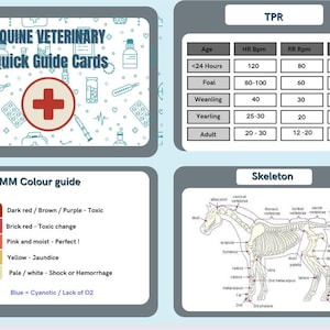 Fiches de guide rapide vétérinaire équin