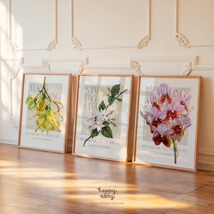 Może przedstawiać: Trzy oprawione grafiki botaniczne z ilustracjami kwiatowymi. Grafiki przedstawiają kwiaty Ylang-Ylang, Sampaguita i Waling-Waling, każdy z ich nazwami naukowymi i tekstem "Bulaklak Ng Pilipinas". Ramki są wykonane z jasnego drewna.