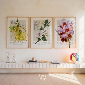 Może przedstawiać: Trzy oprawione grafiki botaniczne z ilustracjami kwiat&oacute;w. Grafiki przedstawiają ż&oacute;łte, białe i fioletowe kwiaty z tekstem w stylizowanej czcionce. Każda grafika zawiera naukową nazwę kwiatu. Grafiki są eksponowane nad p&oacute;łką z elementami dekoracyjnymi.