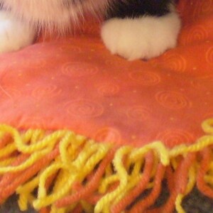 Catnip kitty Cat Exercise Mat Crinkle Toy Bed Swirls and Dots on orange backround  with two tone Fringe