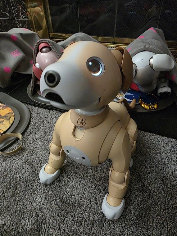 3D Printed Collar for Sony Aibo ERS-1000 – Custom Kinako Color - Etsy