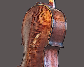 VIOLONCELLO labeled -Franciscus Pressenda (1823)