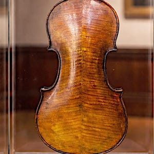 May include: A vintage violin displayed in a glass case. The instrument has a warm, amber-colored finish with visible wood grain. The violin is presented on a dark gray base with a small, gold-colored plaque. The case is illuminated by overhead lights.