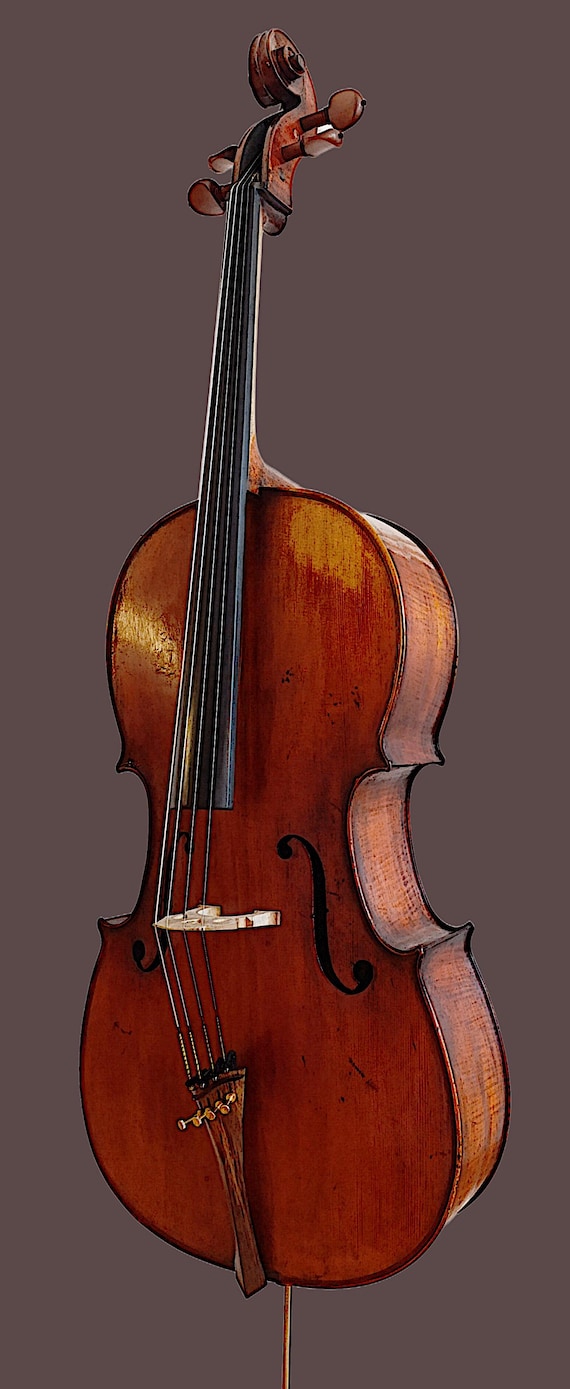 VIOLONCELLO labeled -Franciscus Pressenda (1823)