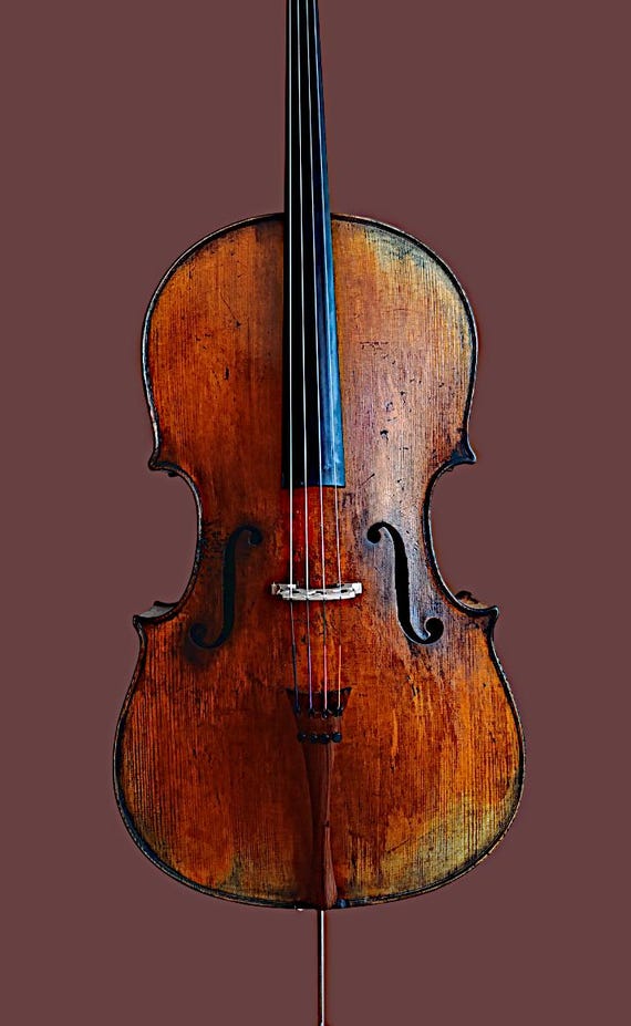 VIOLONCELLO labeled - Domenicus Montagnana 17(40)