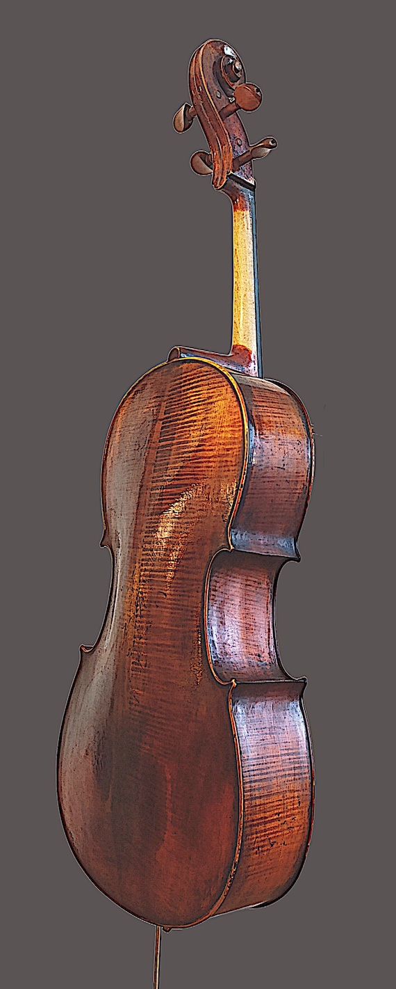VIOLONCELLO labeled -Franciscus Pressenda (1823)