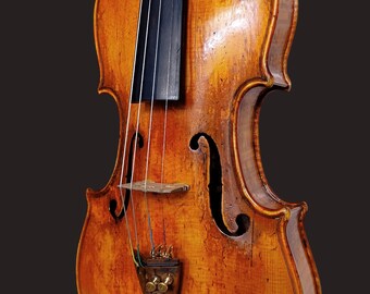 VIOLINE - Giovanni Grancino - labeled