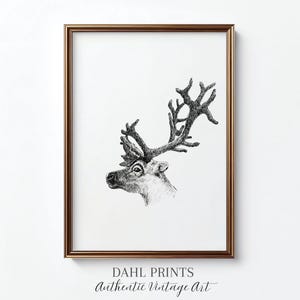 May include: A framed black and white print of a reindeer head with large antlers. The artwork is in a gold-colored frame and features the text "DAHL PRINTS Authentic Vintage Art" at the bottom.