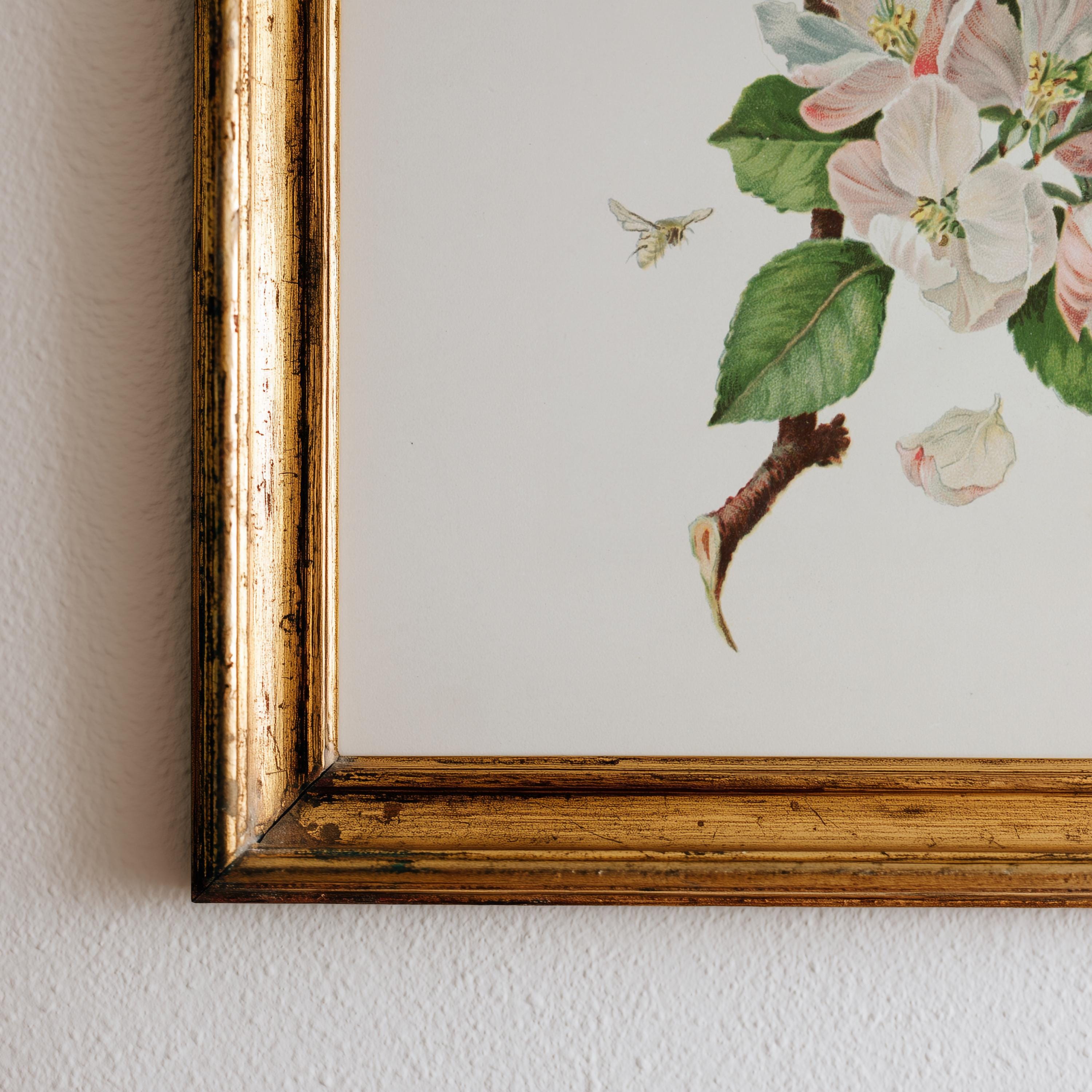 Apple Blossom Botanical Art Print: Summer Watercolor Flower Painting ...