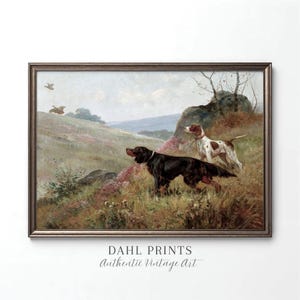 Puede incluir: Impresión vintage enmarcada que representa a dos perros de caza en un campo, con un pájaro en vuelo. Los perros son un setter negro y un puntero blanco y marrón. La impresión está etiquetada como "DAHL PRINTS Authentic Vintage Art."