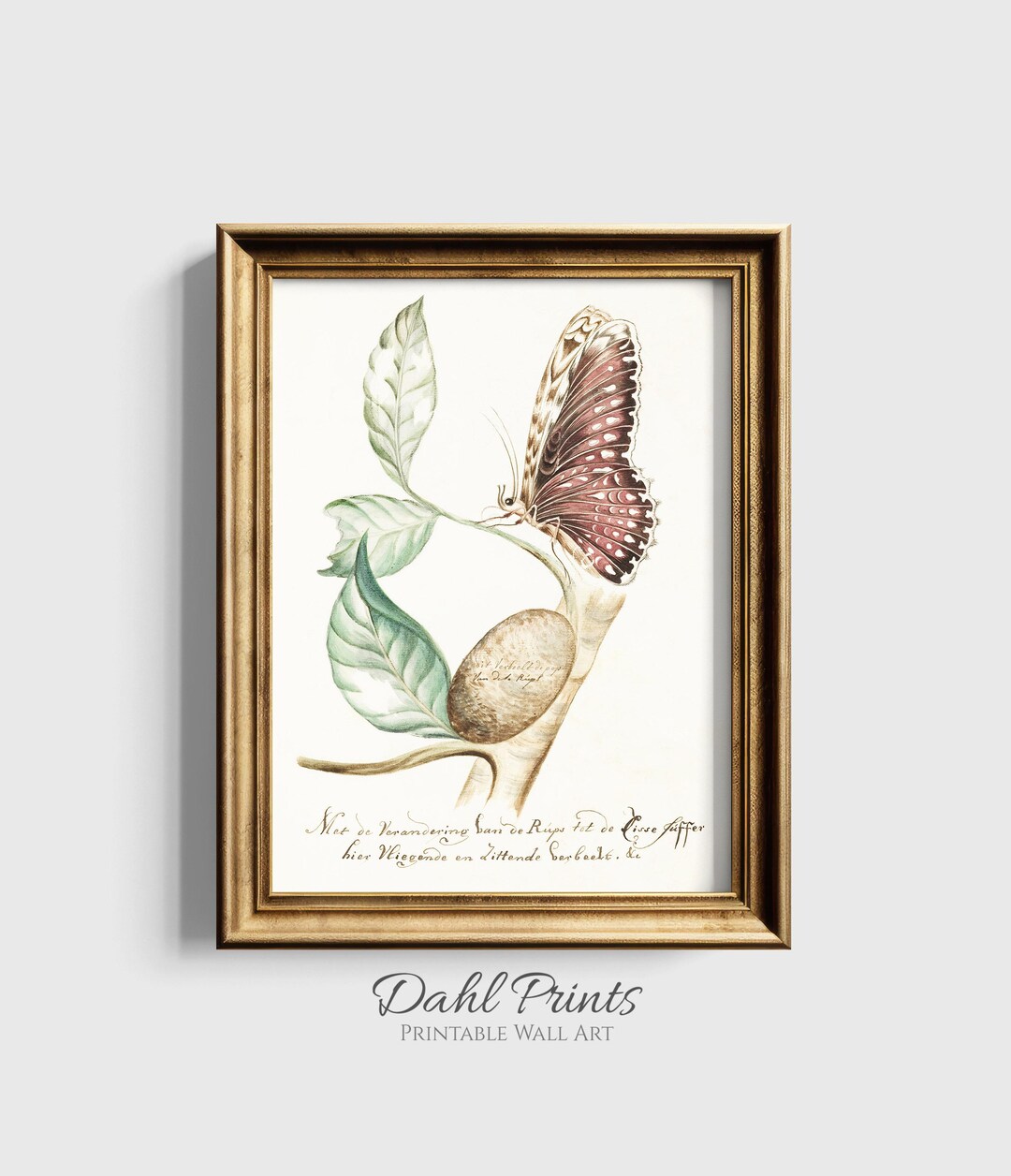 Soft Vintage Butterfly Botanical Drawing PRINTABLE, Cottage Nursery ...