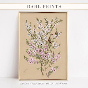 Vintage Wildflower Botanical Art Print, DIGITAL Floral Illustration, Farmhouse Bedroom Wall Decor, Neutral French Country PRINTABLE B-07