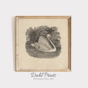 Swan Print Vintage Art Nursery Decor for Girl, Neutral Bird Etching Farmhouse Bedroom Decor, Antique Artwork Poster Cottagecore Decor N-05