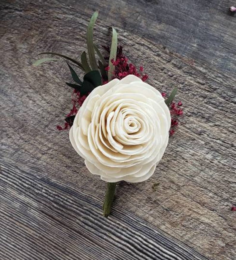 May include: A white sola wood flower with a layered, rosette design. The flower is surrounded by small, burgundy-colored flowers and green foliage.