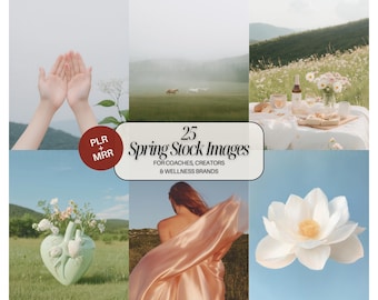 Faceless Muse Stock Photo Bundle PLR MRR Aesthetic Images for Instagram Content Creators Stylish Brands Modern Visuals