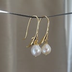 Gold Dangle Earrings
