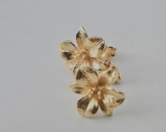 Bestseller Gorgeous Gold Studs Camellia 24k Earrings Classic Gold Floral Earrings Gift for Her Minimalist Gold Studs