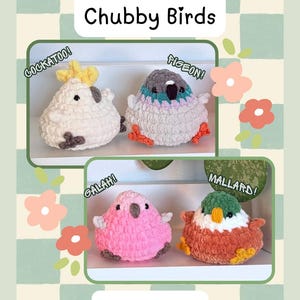Puede incluir: Un patrón de ganchillo en PDF titulado Chubby Birds de AbiJade Art que muestra cuatro aves de peluche: una cacatúa blanca con cresta amarilla, una paloma gris y morada, una galah rosa y un ánade real verde, blanco y naranja, con ojos negros.