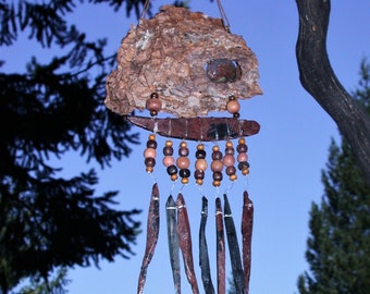 Atrapasol de corteza