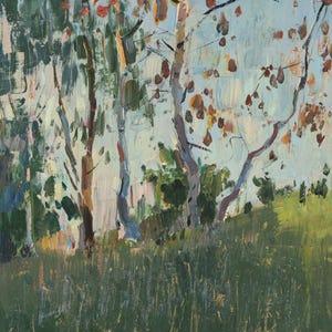 Paisaje veraniego con árboles. Pintura al óleo antigua original sobre cartón de un artista ucraniano desconocido, años 60. Obra sin firmar.