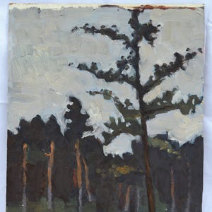 Paisaje forestal. Pintura al óleo original vintage sobre cartón de un artista ucraniano desconocido.
