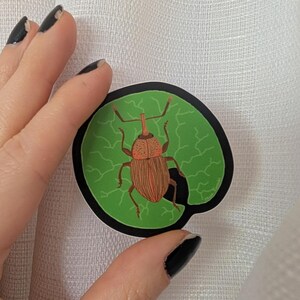 May include: A sticker featuring a detailed illustration of a brown beetle with a long snout, set against a green leaf with a black border. The beetle has intricate line details. The sticker is held against a white fabric background.