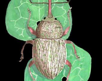 Just Before, Just Beyond, Weevil on Leaves, Insect Crawling - Art Print