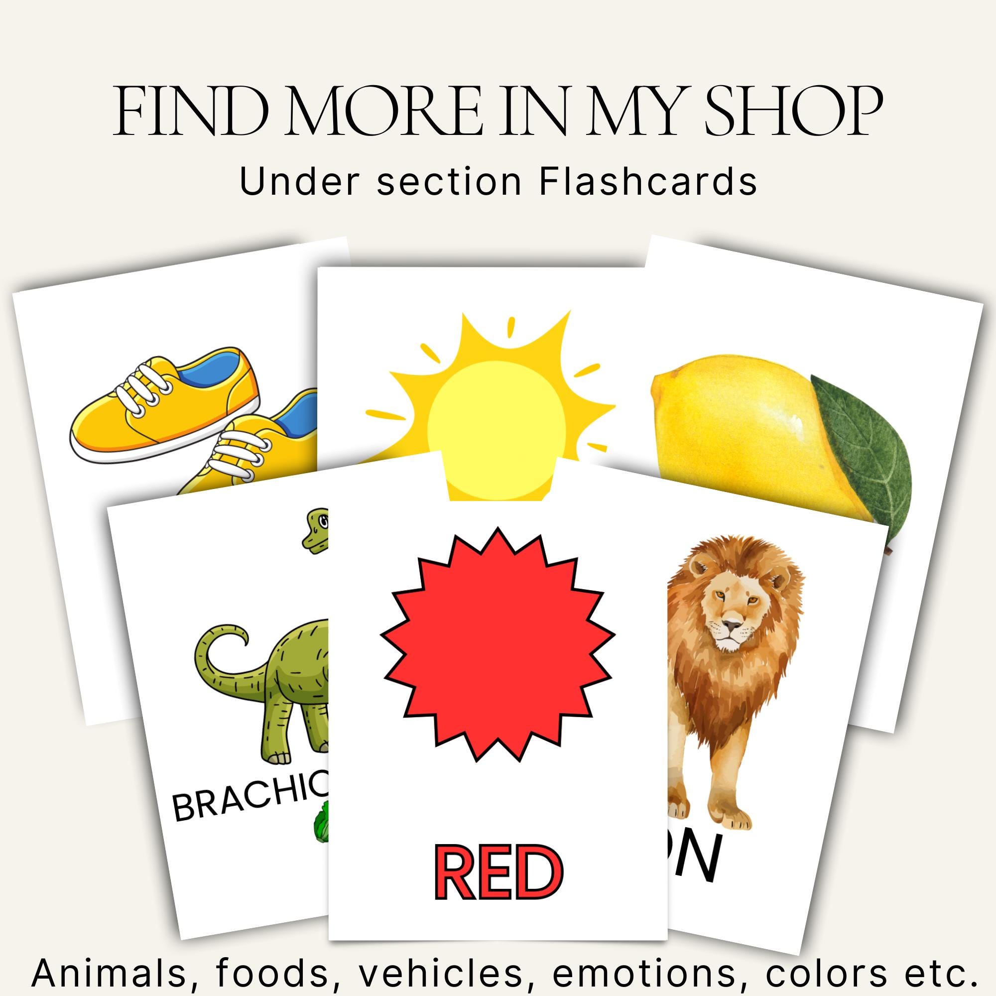 Numbers Flashcards for Kids – Flashcards Prin - Printable Preschool ...