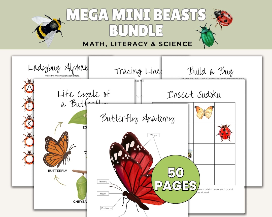 Insect Unit Study Insect Unit Study, Mini Beasts Activities for Kids, Butterfly Life ...