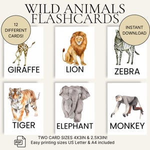 Tarjetas didácticas de animales salvajes para niños – Set de 12 imprimibles – Tarjetas Montessori de acuarela – 2 tamaños – Animales de la selva y safari en acuarela