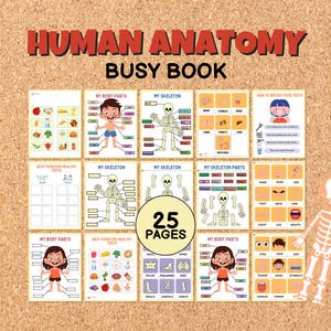 Human Anatomy Busy Book for Kids Toddlers Printable Activity PDF Body Parts Skeleton Organs Teeth Brain US Letter