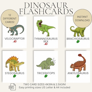 Flashcards de dinossauros para crianças – Aprendizagem pré-escolar para impressão – 2 tamanhos – A4 e Carta dos EUA – Cartões educativos para crianças pequenas