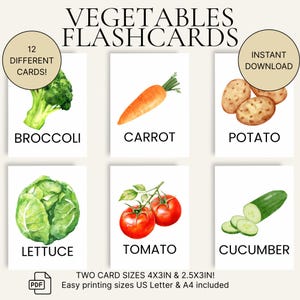 Flashcards de vegetais para crianças – Cartões de vocabulário de alimentos em aquarela – Aprendizagem pré-escolar para impressão – 2 tamanhos – imprimíveis em formato A4 e US Letter