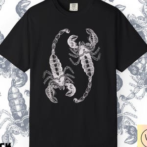 Scorpion Tee-Comfort Colors,Arachnid Shirt Desert Animal Fan Gift Scorpion Design Graphic Tee