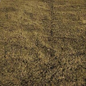May include: A rectangular, olive green shag rug with a thick, textured pile. The rug is placed on a pink surface, creating a contrast in color and texture. The rug's edges are slightly uneven, adding to its casual appeal.