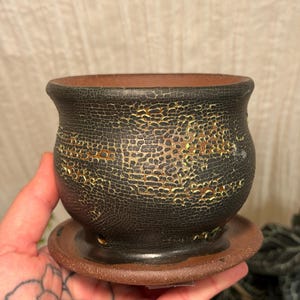 Maceta de cerámica con plato de drenaje, maceta de 10 cm (4 pulgadas)