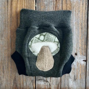 Upcycled Merino Wool Diaper Cover: Mushroom Applique, 3-6 Months