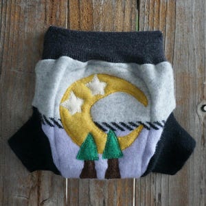 Upcycled Cashmere Merino Wool Diaper Cover: Newborn Moon Applique