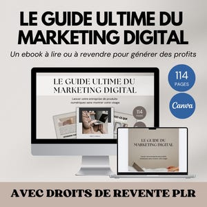 Digital Marketing Guide to Resell, Digital Product with Resale Rights PLR MRR, Faceless Instagram Digital Marketing, French Ebook
