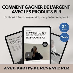 Ebook on how to make money with PLR Resale Rights, digital guide in French, Digital Marketing, French beginner&#39;s guide to PLR MRR