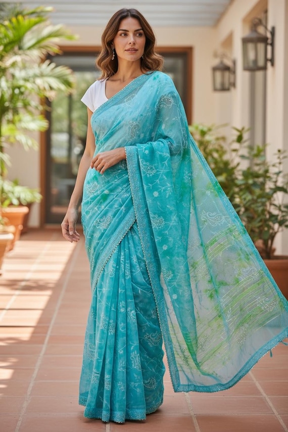 Chiffon saree with jaal embroidery