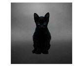 Blue Eyed Black Cat Art Print (Digital Download)