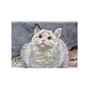 Digital Art Download, Blue Eyed Cat Drawing  Drawing
