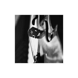 May include: Black and white close-up of a stringed instrument, likely a violin or cello. The image highlights the bridge, strings, and f-holes, with a shallow depth of field. The wood grain is visible, and the lighting creates shadows.