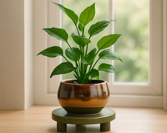 Runder 15cm Blumenständer - Minimalistischer Setzling für Indoor-Töpfe, Schreibtisch oder Regal, 3D gedruckt