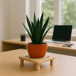 May include: A snake plant in an orange ceramic pot, with dark green leaves, sits on a small, square, light-coloured wooden plant stand. The plant is on a wooden desk, with a laptop and window in the background. The pot is approximately 15 cm in diameter.
